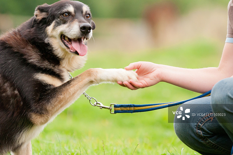 与我携手同行图片素材