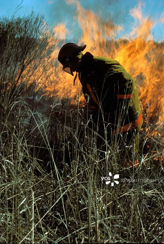 消防员扑灭灌木丛火灾图片素材