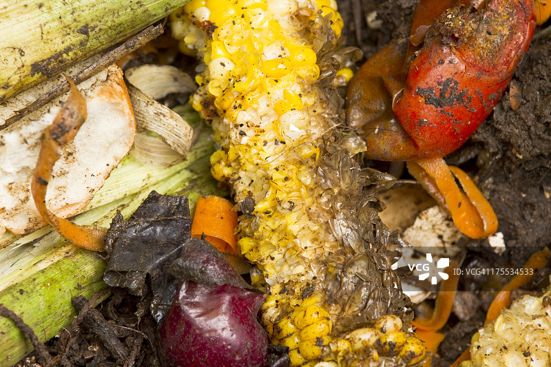 堆肥堆中的腐烂蔬菜图片素材