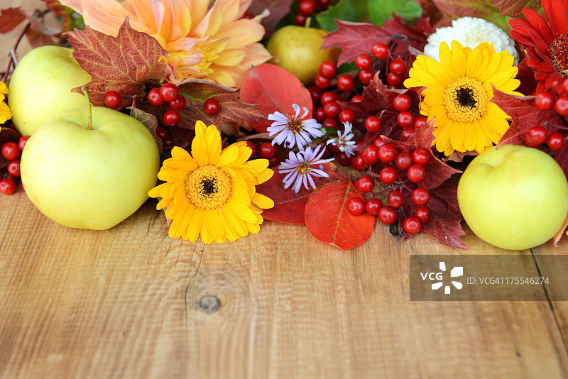 秋季装饰图片素材