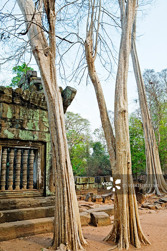 柬埔寨科科岛的Prasat Thom金字塔寺庙图片素材