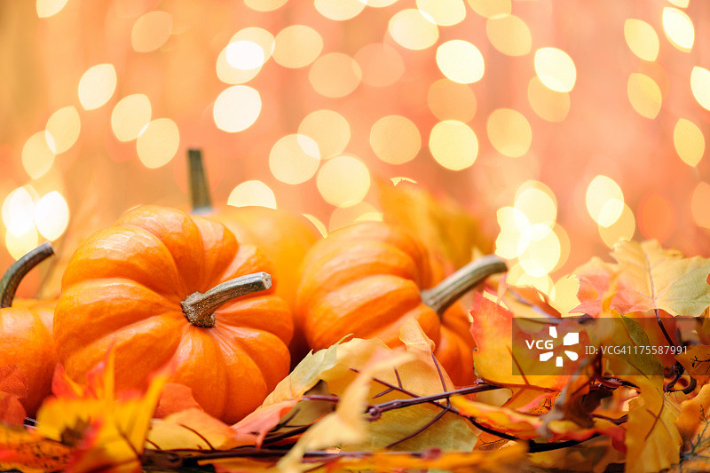 秋天的装饰图片素材