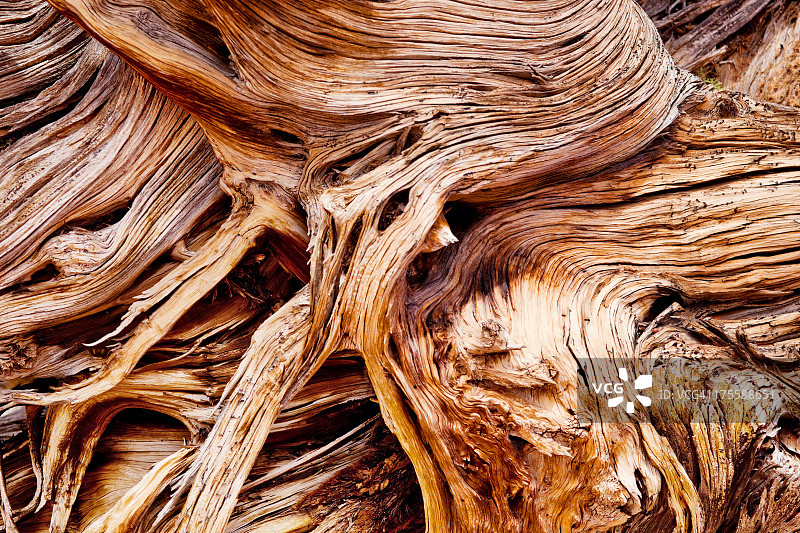 风化的天然木材图片素材