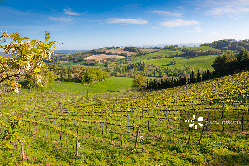 意大利的风景图片素材