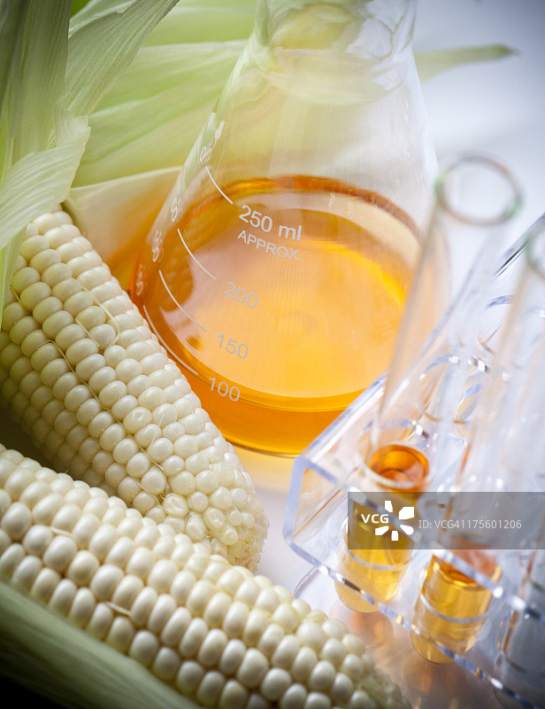 生物燃料或玉米糖浆图片素材