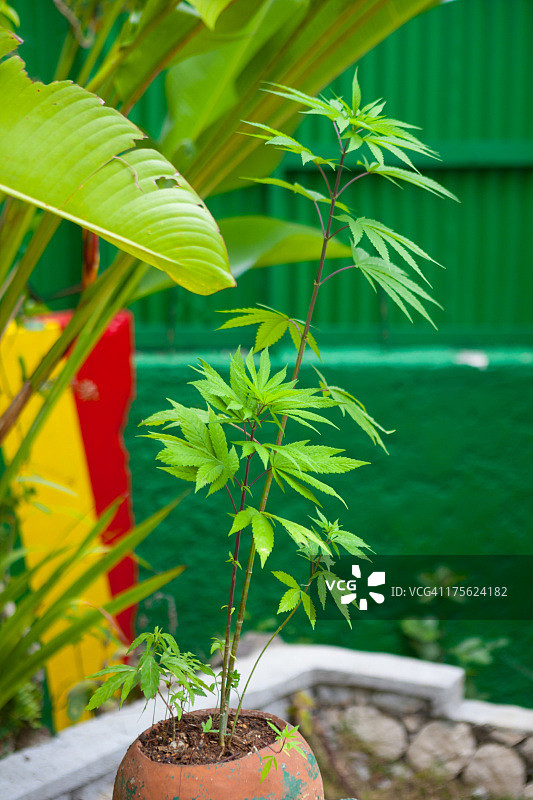 鲍勃·马利陵墓，牙买加九英里图片素材