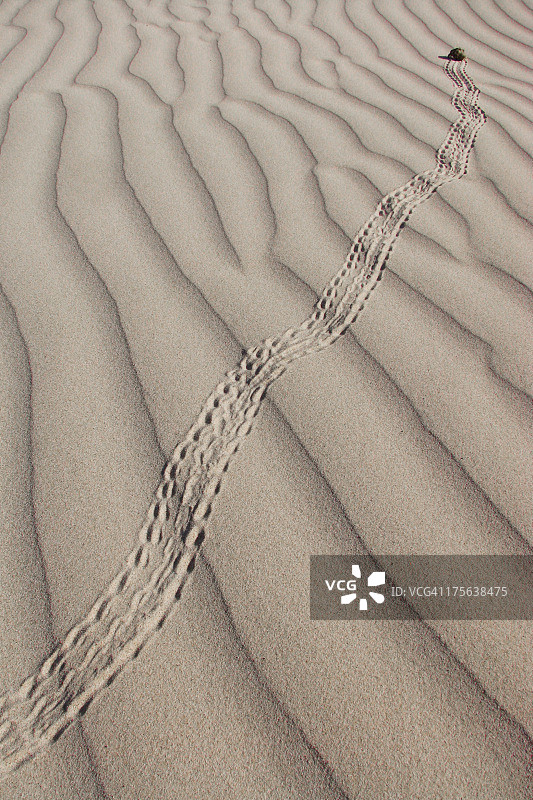 大逃亡图片素材