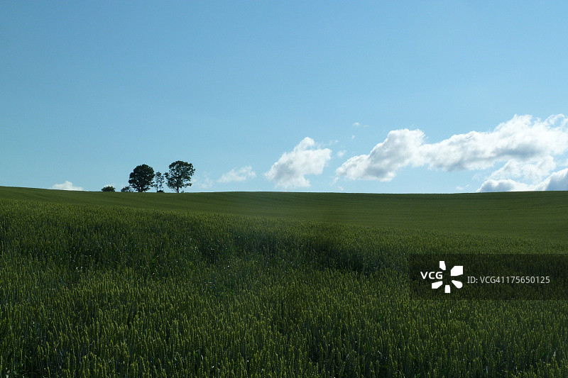 日本北海道美瑛图片素材