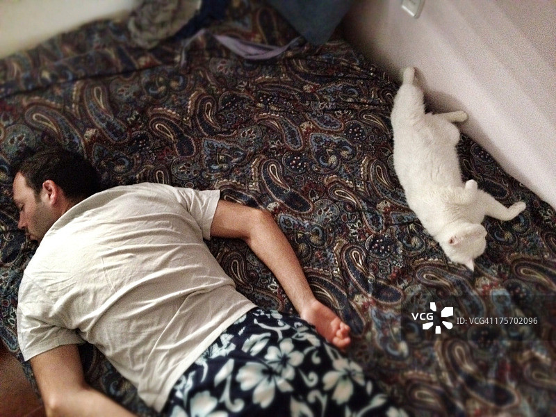 男人和小猫打盹图片素材