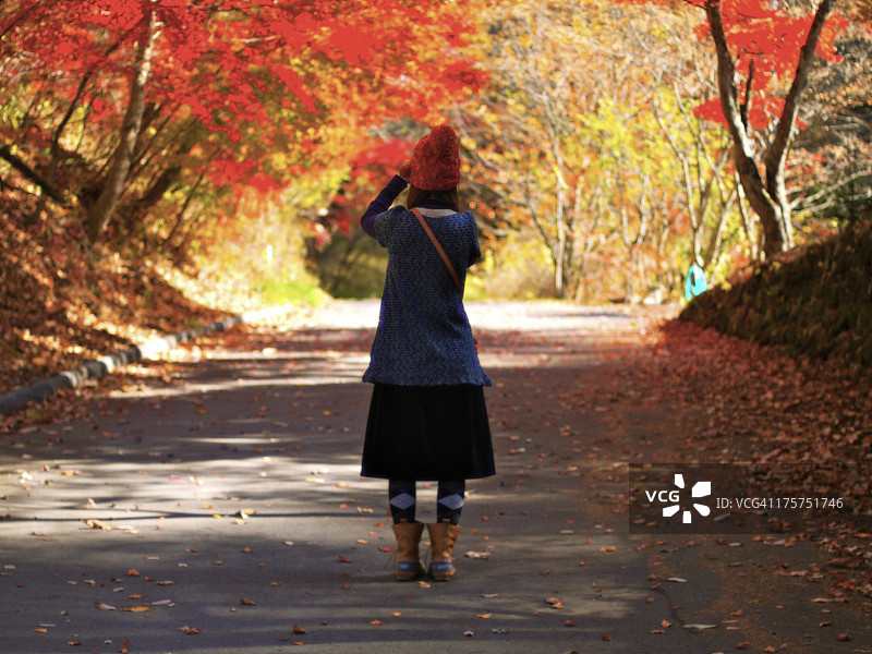 拍摄秋季红叶的女人图片素材