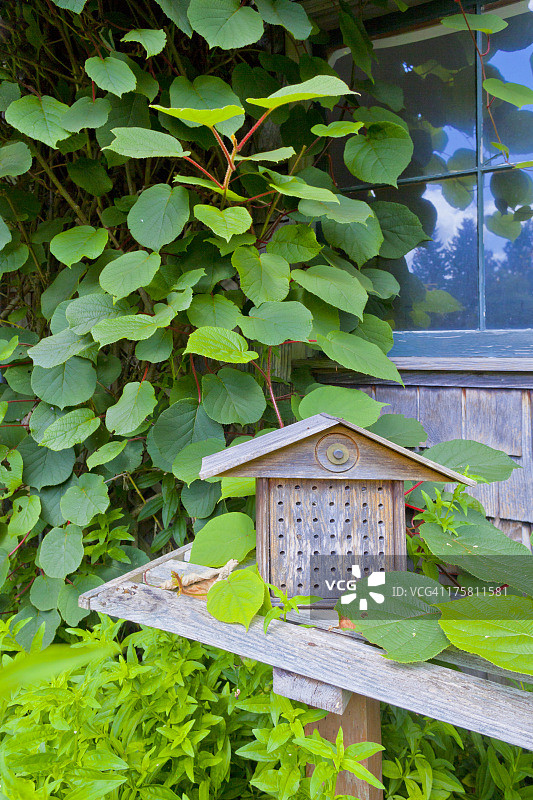 园艺用品特写图片素材