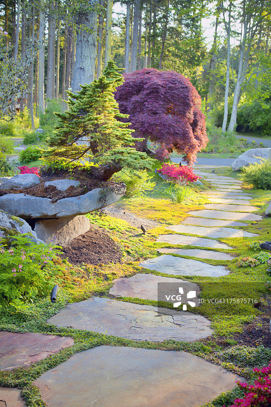 圣胡安群岛的豪华庄园图片素材