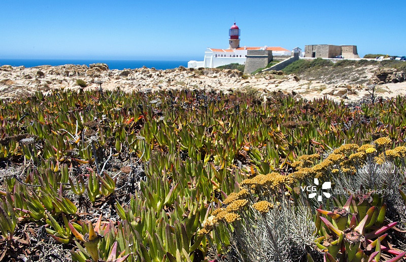 圣维森特角图片素材