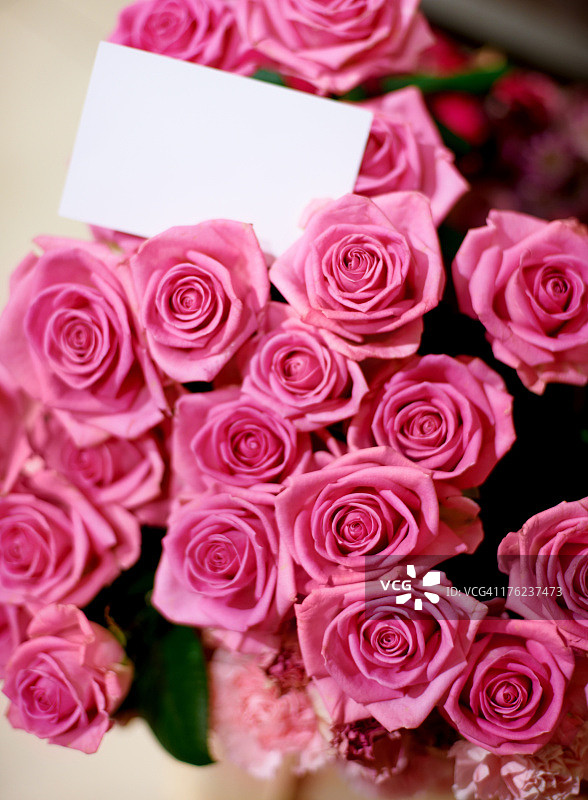 完美的礼物图片素材