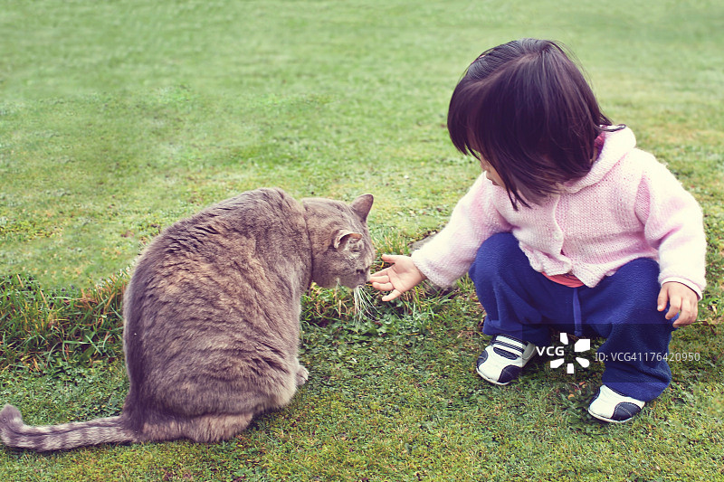 猫咪嗅闻小女孩的手图片素材