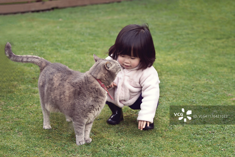 蹒跚学步的女孩与猫图片素材
