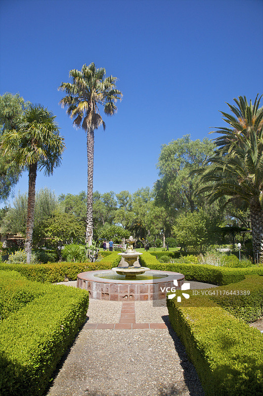 蓝色天空下的喷泉、棕榈树和灌木丛图片素材