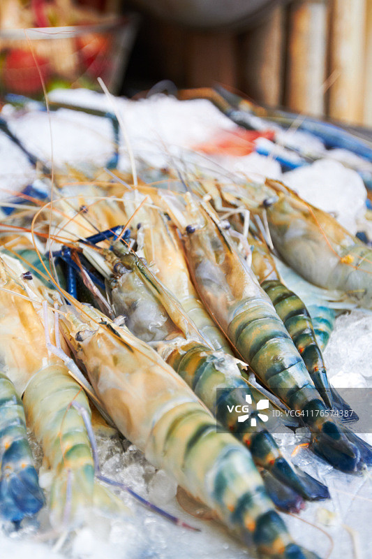 冰上的冷冻虾图片素材