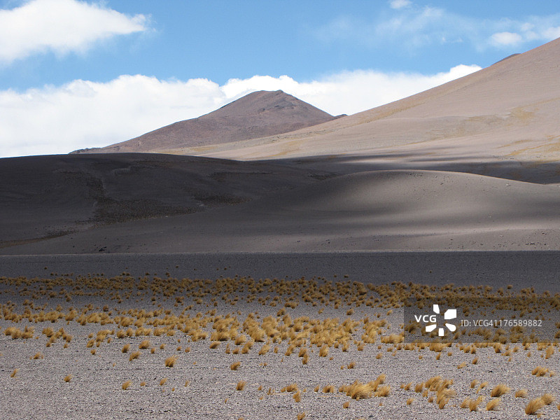 科皮亚波地区的沙漠和植物图片素材