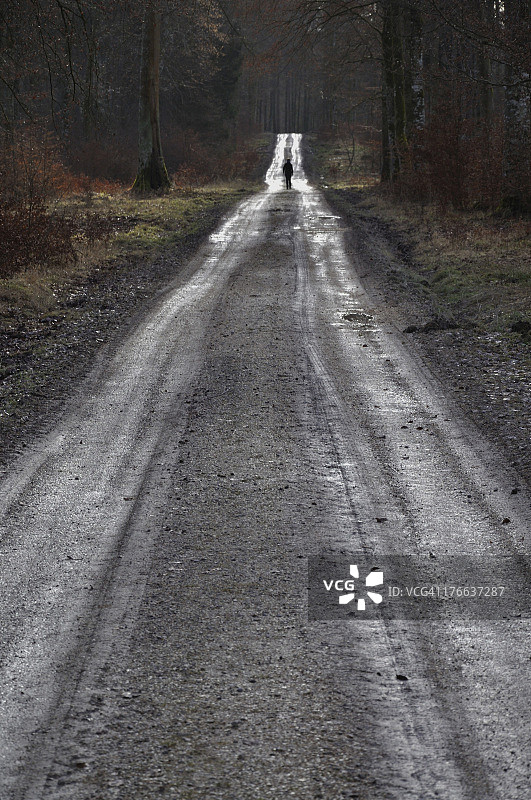 德国巴登-符腾堡州森林小路上的行人图片素材