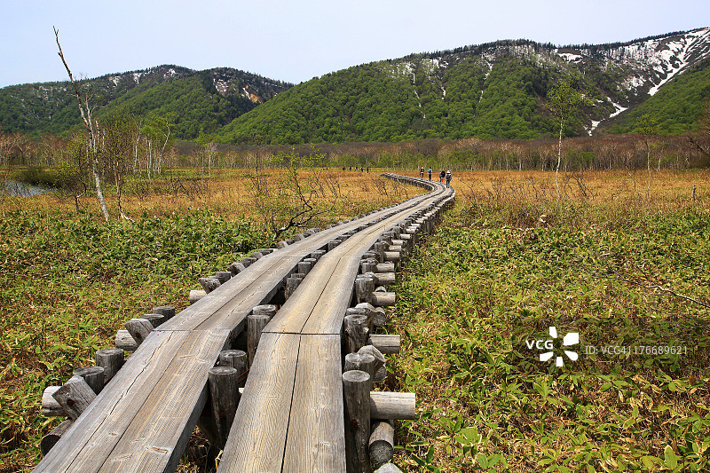 尾濑国立公园图片素材