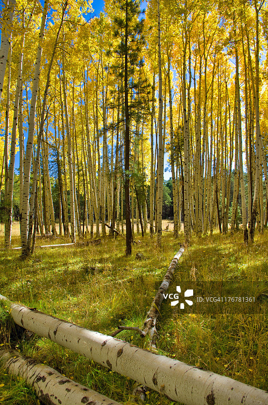 季节变换图片素材