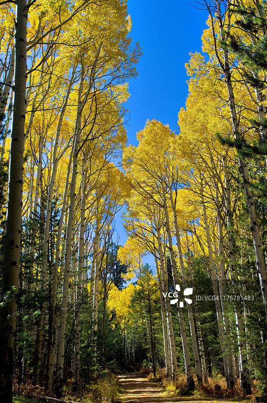 秋天的颜色图片素材