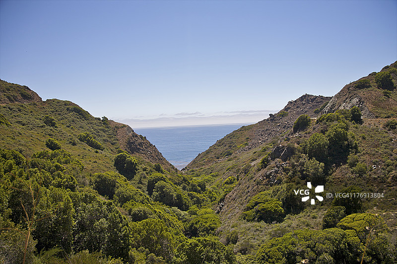 蓝色水域附近山坡上的绿色灌木图片素材