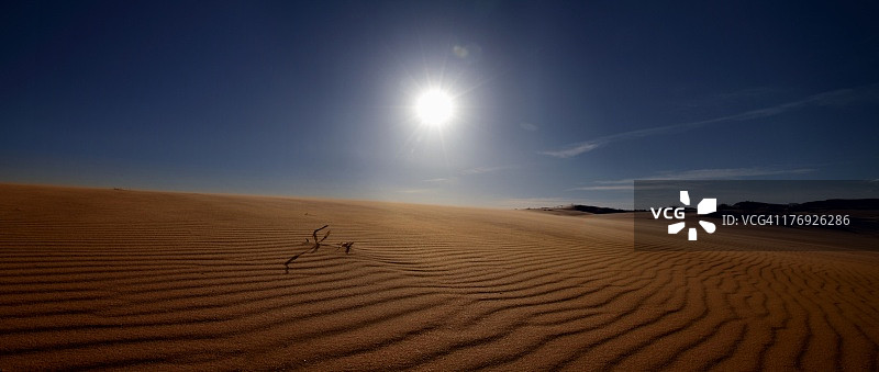 沙丘图片素材