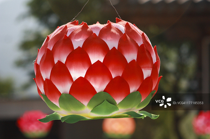 莲花灯节图片素材