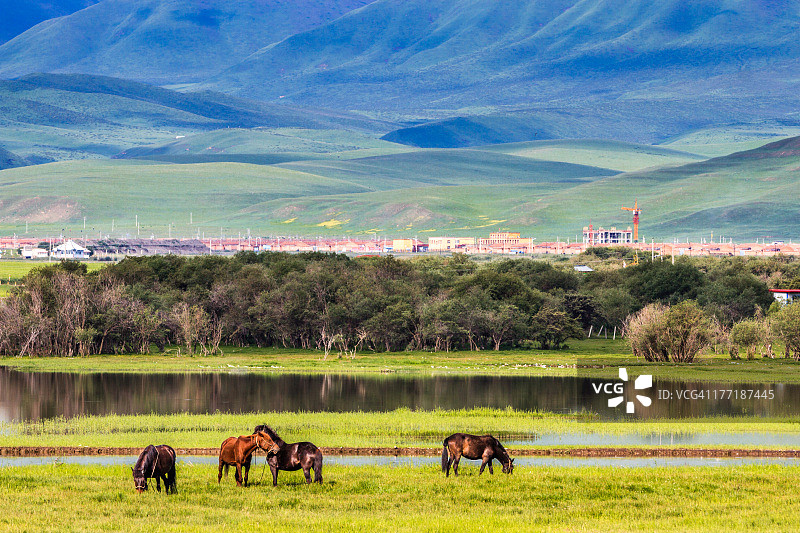 桑科草原图片素材