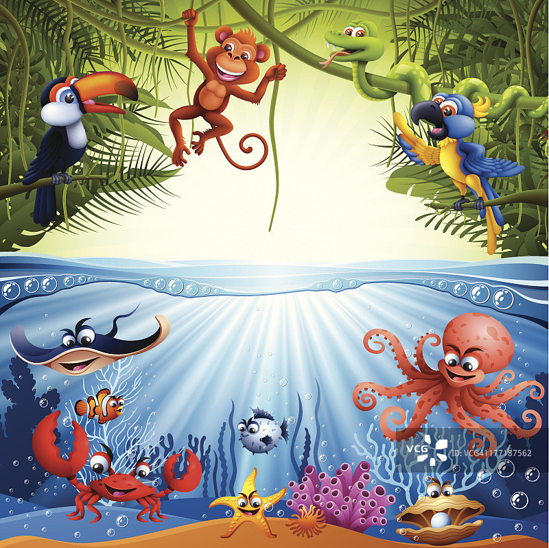 丛林与海洋场景图片素材