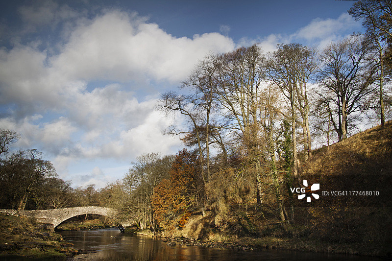 斯坦福斯图片素材