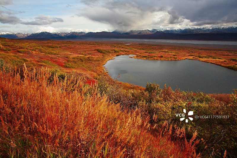 德纳里国家公园的池塘图片素材