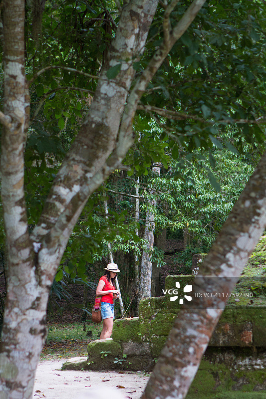 蒂卡尔神庙遗址上的午餐休息站图片素材