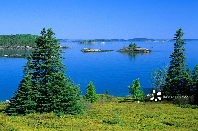 天鹅岛图片素材