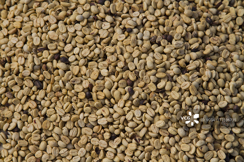 秘鲁皮乌拉咖啡豆图片素材