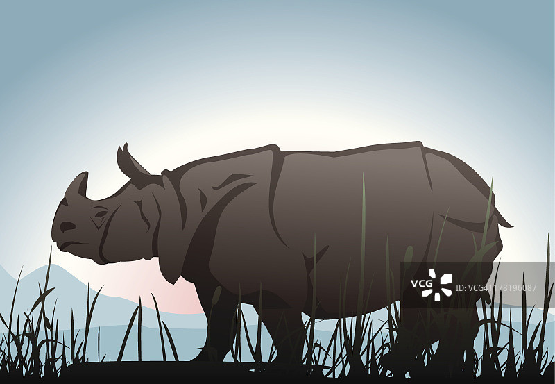 犀牛图片素材