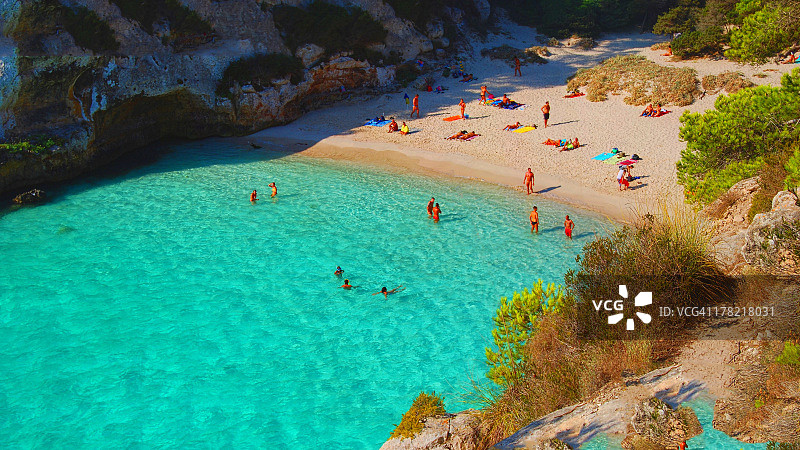 小鲭鱼图片素材