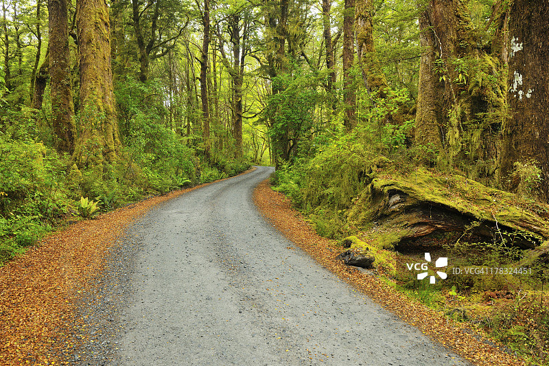 砾石路图片素材