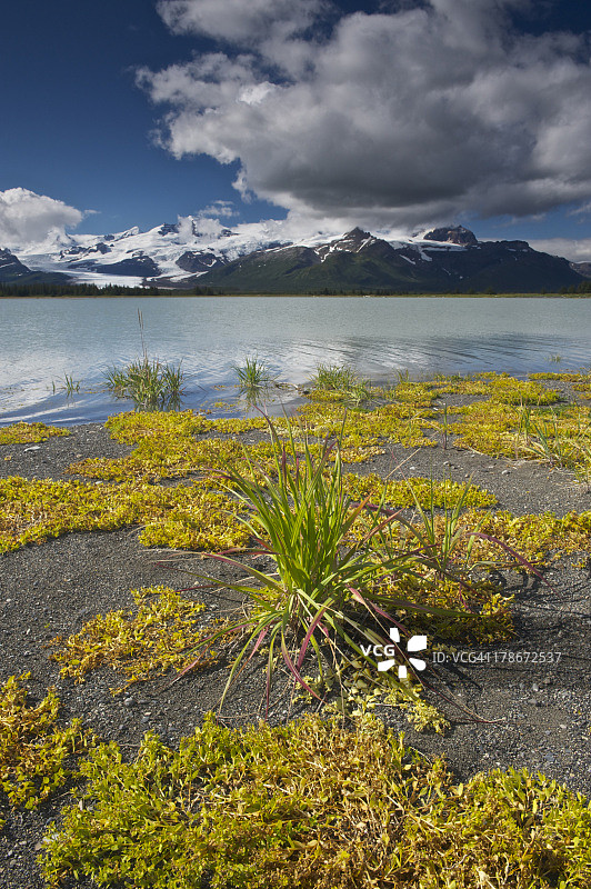 阿拉斯加图片素材