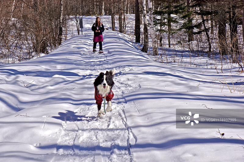 嘿，过来图片素材