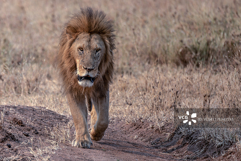大男孩图片素材