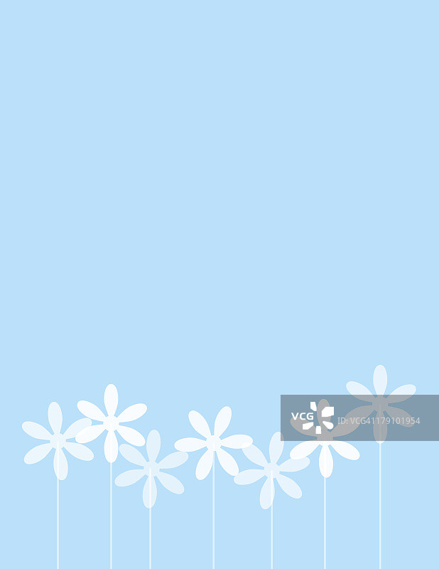 雏菊花行图片素材