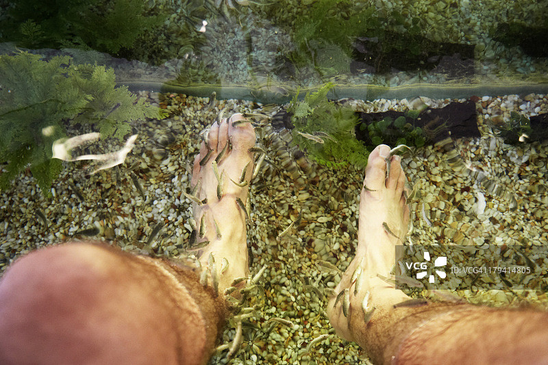 在鱼疗馆里把脚放在水里的男人图片素材