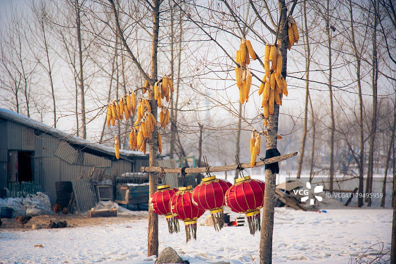 雾凇岛图片素材