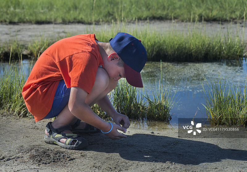 在野生动物保护区观察招潮蟹的男孩图片素材