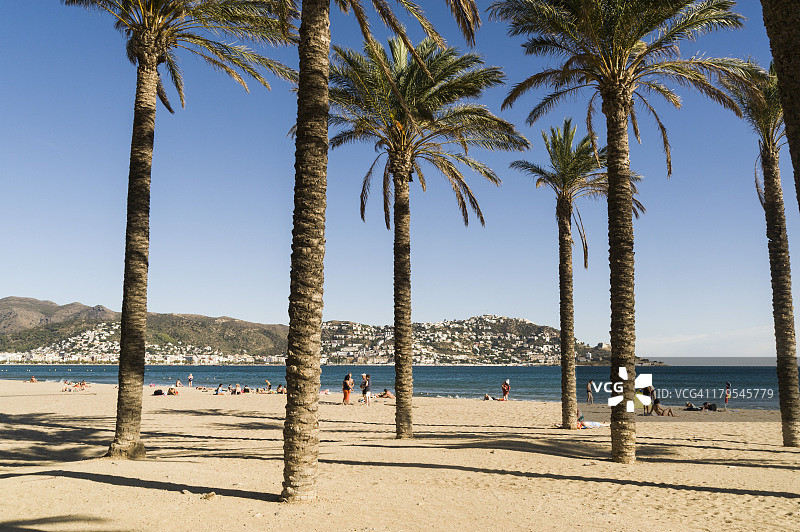 西班牙加泰罗尼亚布拉瓦海岸的玫瑰图片素材