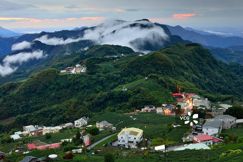 清新茶园图片素材