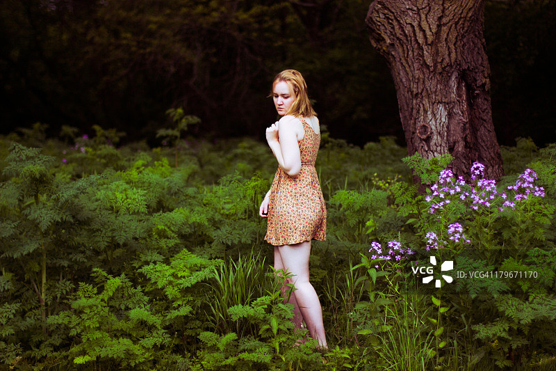 自然风光摄影图片素材